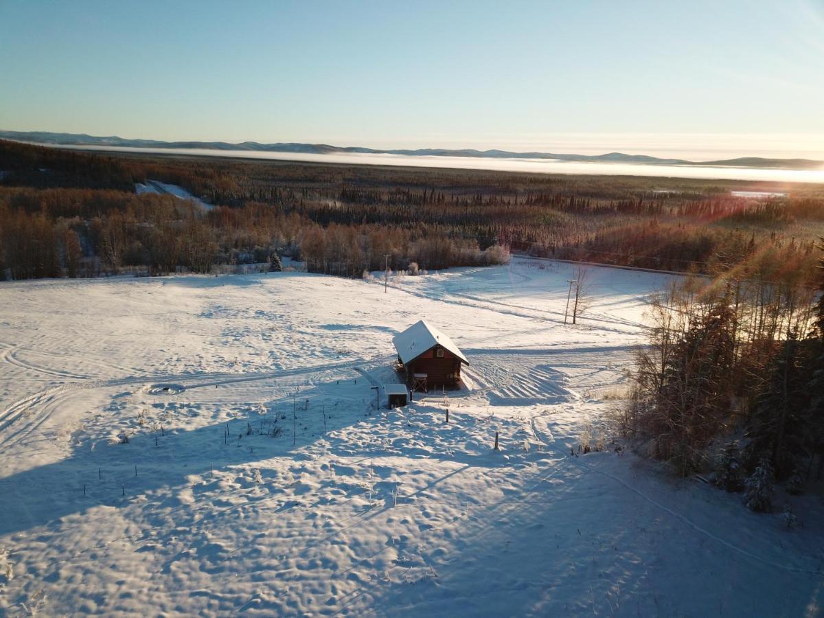 Secluded Log Cabin, 30 Min From Chena Hot Springs Pleasant Valley Eksteriør bilde