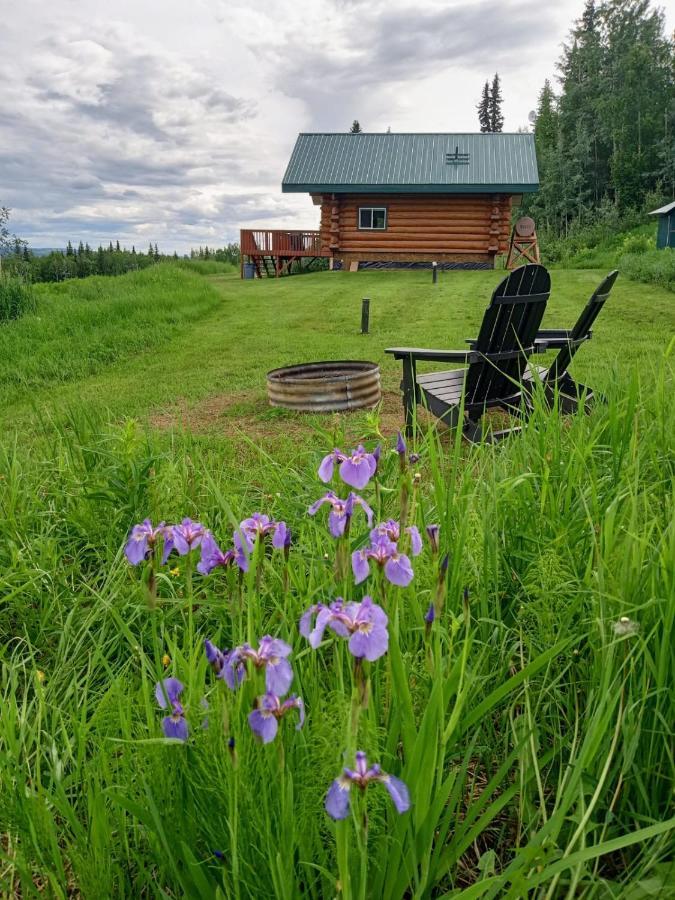 Secluded Log Cabin, 30 Min From Chena Hot Springs Pleasant Valley Eksteriør bilde