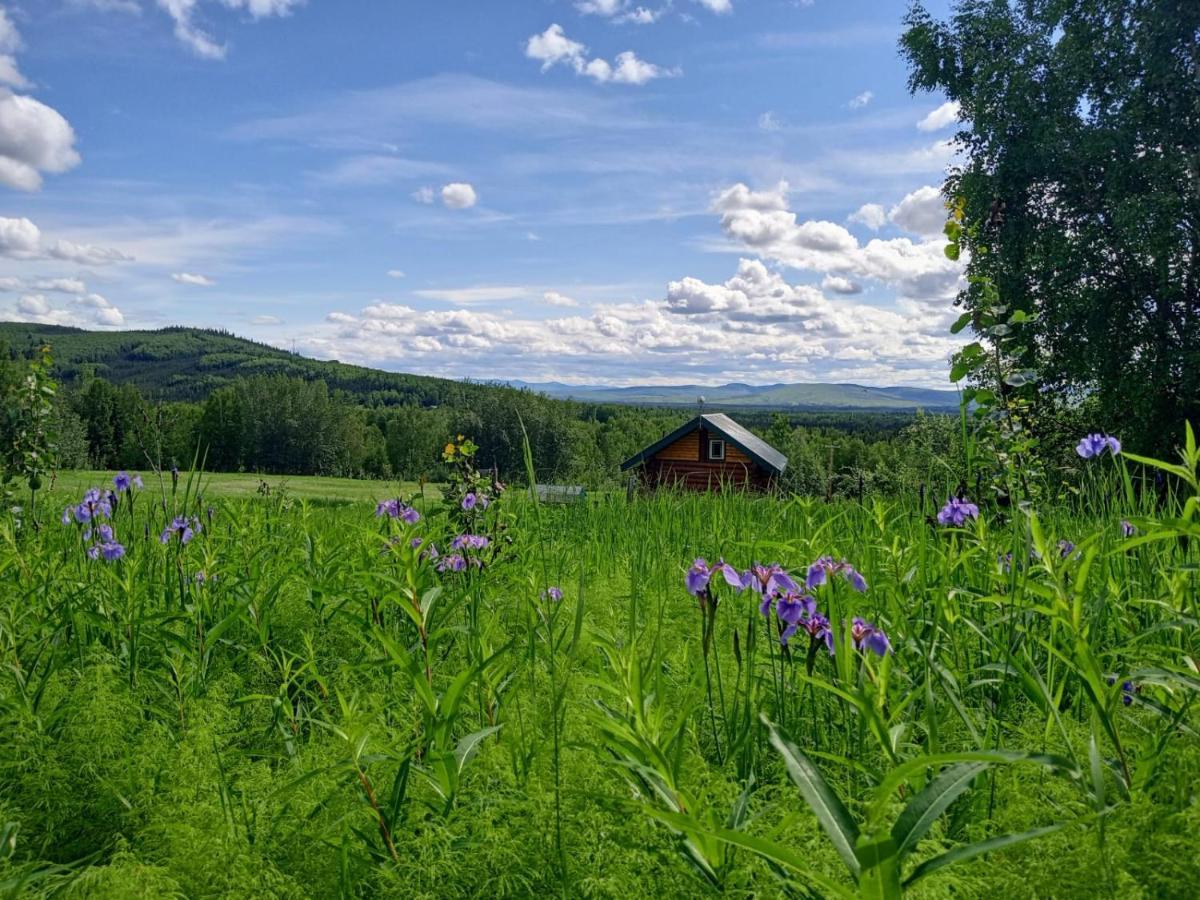 Secluded Log Cabin, 30 Min From Chena Hot Springs Pleasant Valley Eksteriør bilde